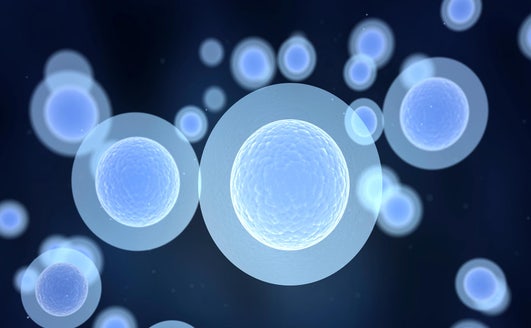 blog september cytometry thumbnail