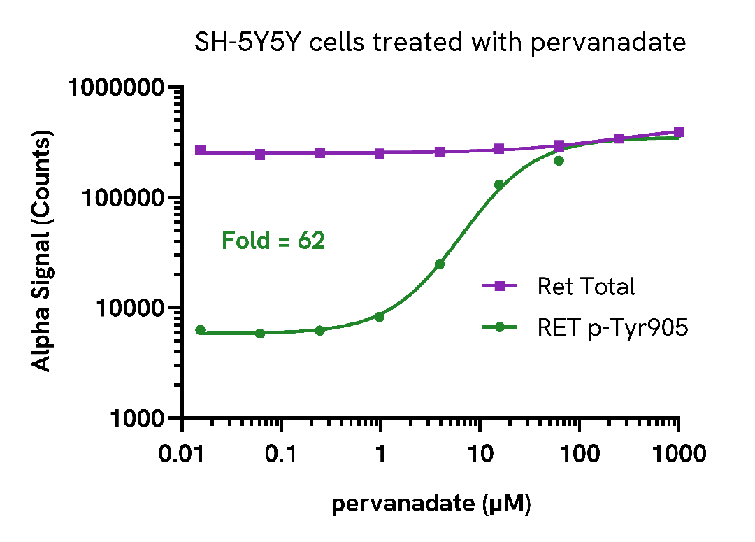 Activation of Ret Phospho (Tyr905) in cells treated with pervanadate