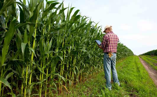 img-skimseq-blog1920x1080