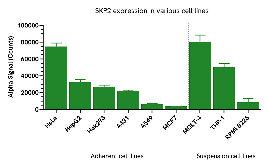Versatility of Total SKP2 assay in various cell lines