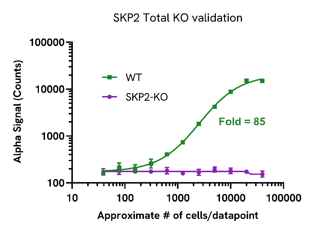 Specificity of SKP2 Total assay