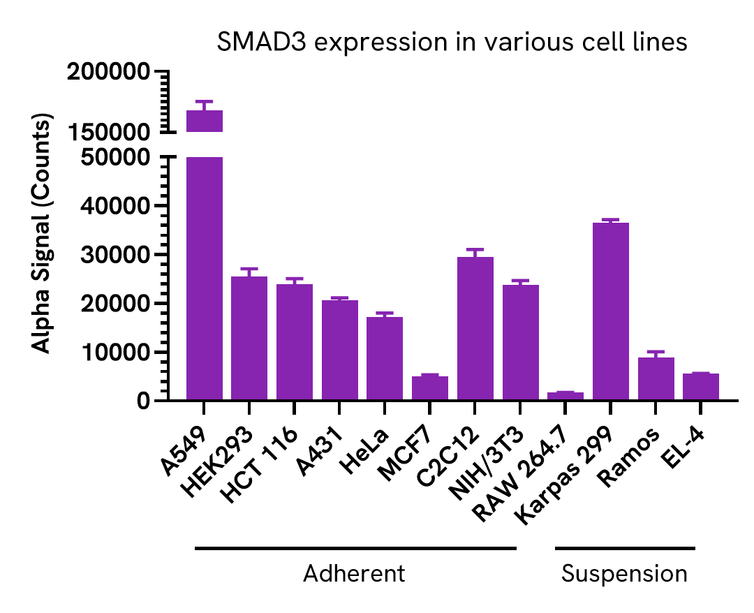Versatility of SMAD3 Total High Specificity assay in various cell lines