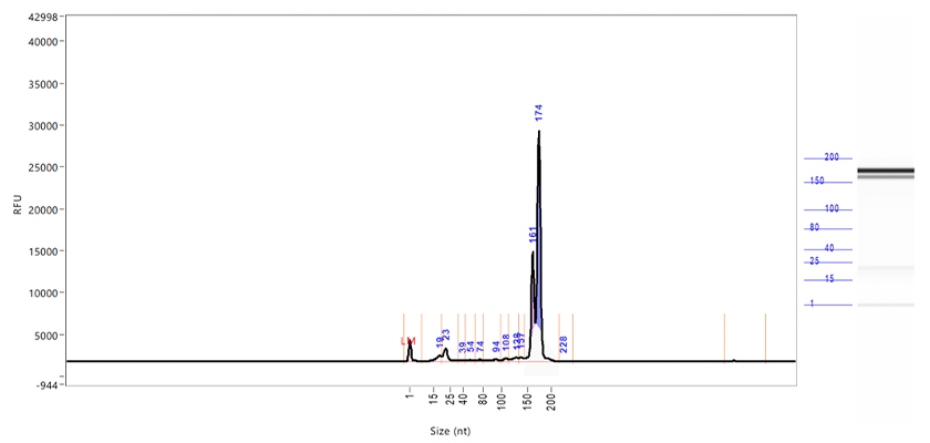 small rna blocker figure 1