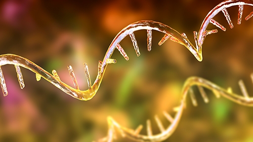 small rna sequencing library prep kits thumbnail