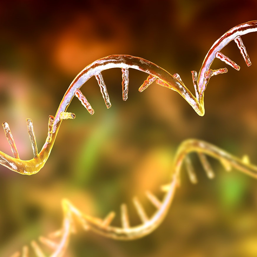 small rna sequencing library prep kits hero