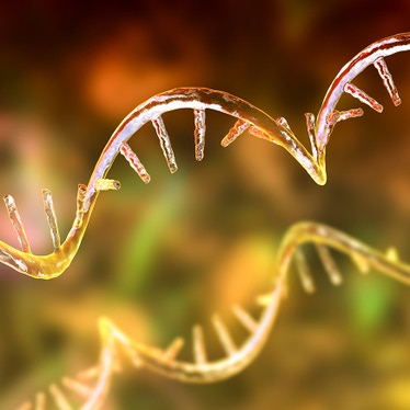 Small RNA Sequencing Library Prep Kits | Revvity