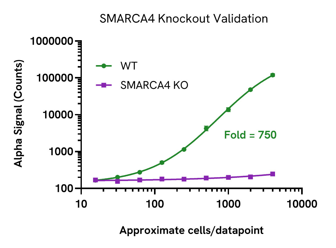 Knockout validation of SMARCA4 Total assay