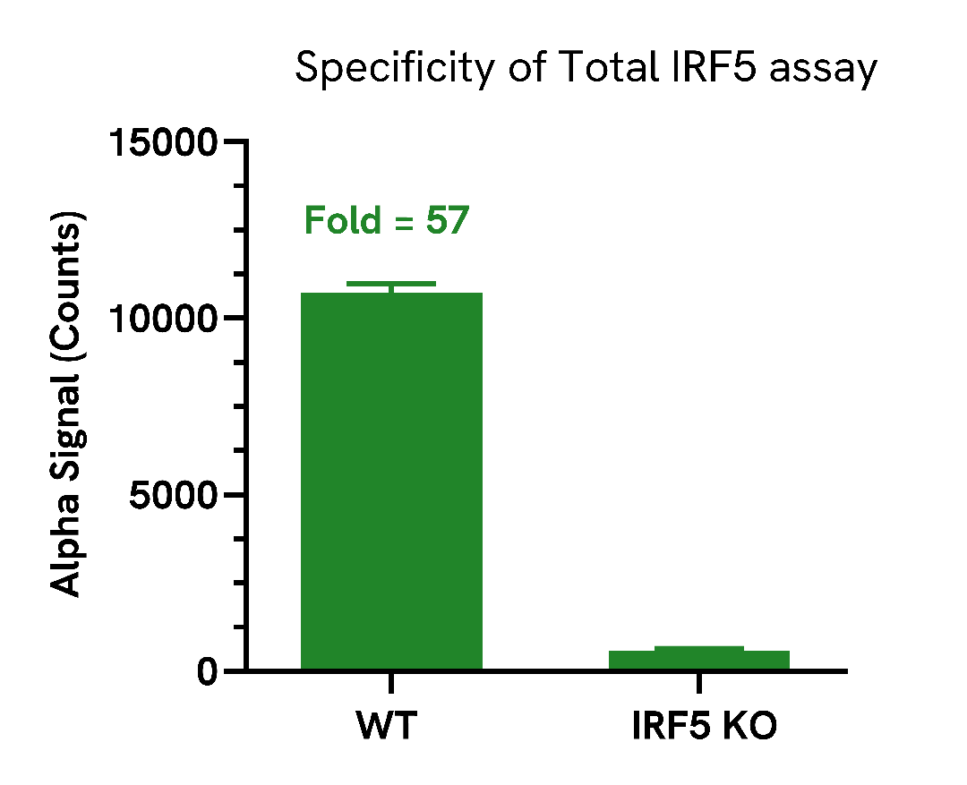 specificity of total irf5 assay
