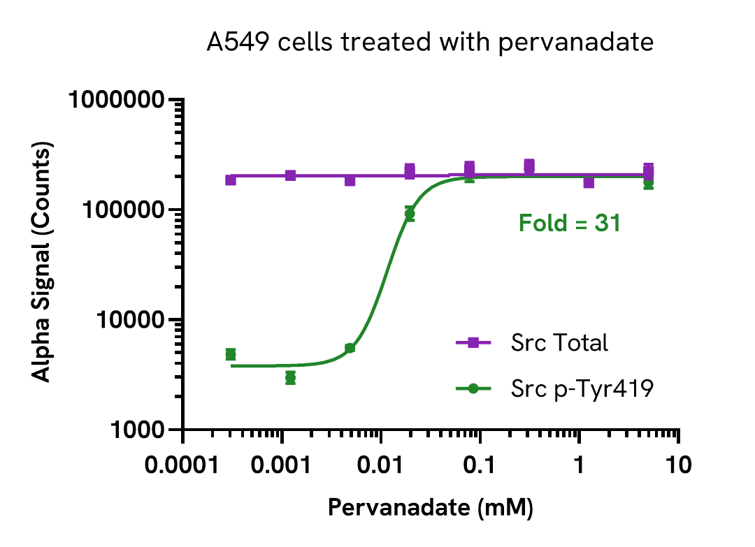 Pharmacological Validation (activator) of Src Total