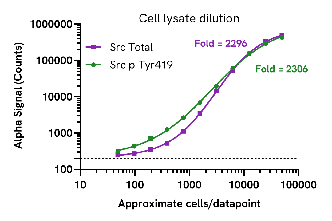 Src assay sensitivity – lysate dilution