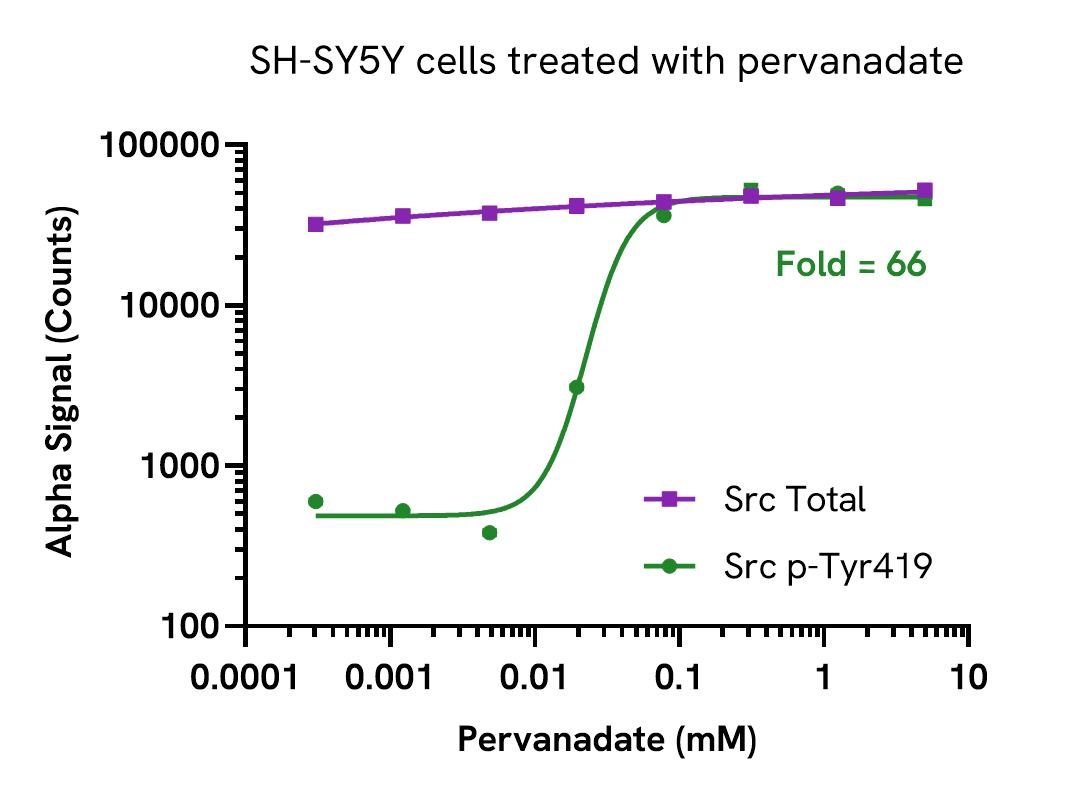 Pharmacological Validation (activator) of Src Total