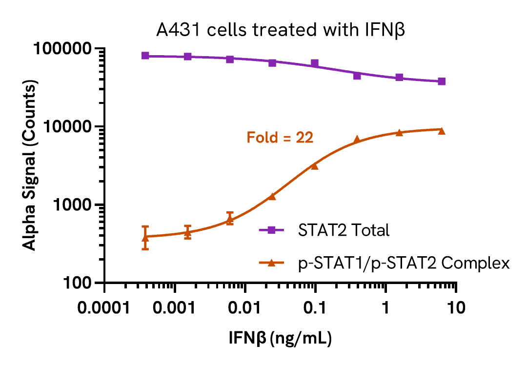 Pharmacological Validation (activator) of Phospho STAT1 (Tyr701)/STAT2 (Tyr690)