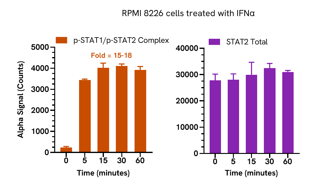 Pharmacological Validation (activator) of Phospho STAT1/STAT2 Complex