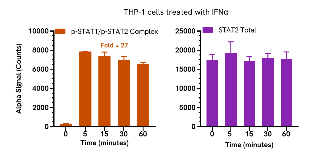 Pharmacological Validation (activator) of Phospho STAT1/STAT2 Complex