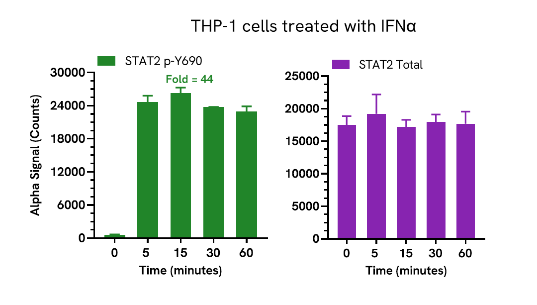 Pharmacological Validation of STAT2