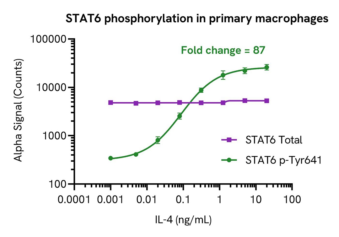 img-stat6-phosphorylation-in-primary-macrophages-alsu-pst6-a.jpg