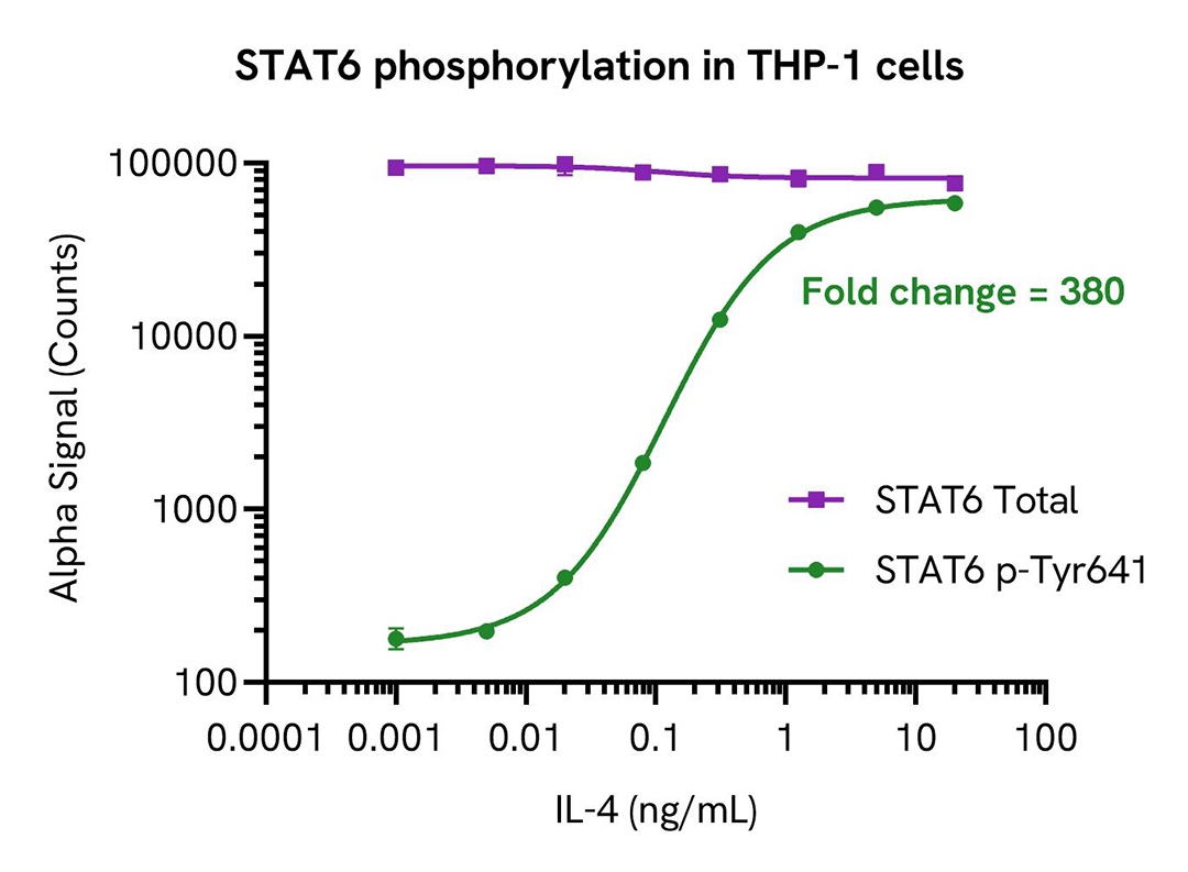 img-stat6-phosphorylation-in-thp-1-cells-alsu-pst6-a.jpg