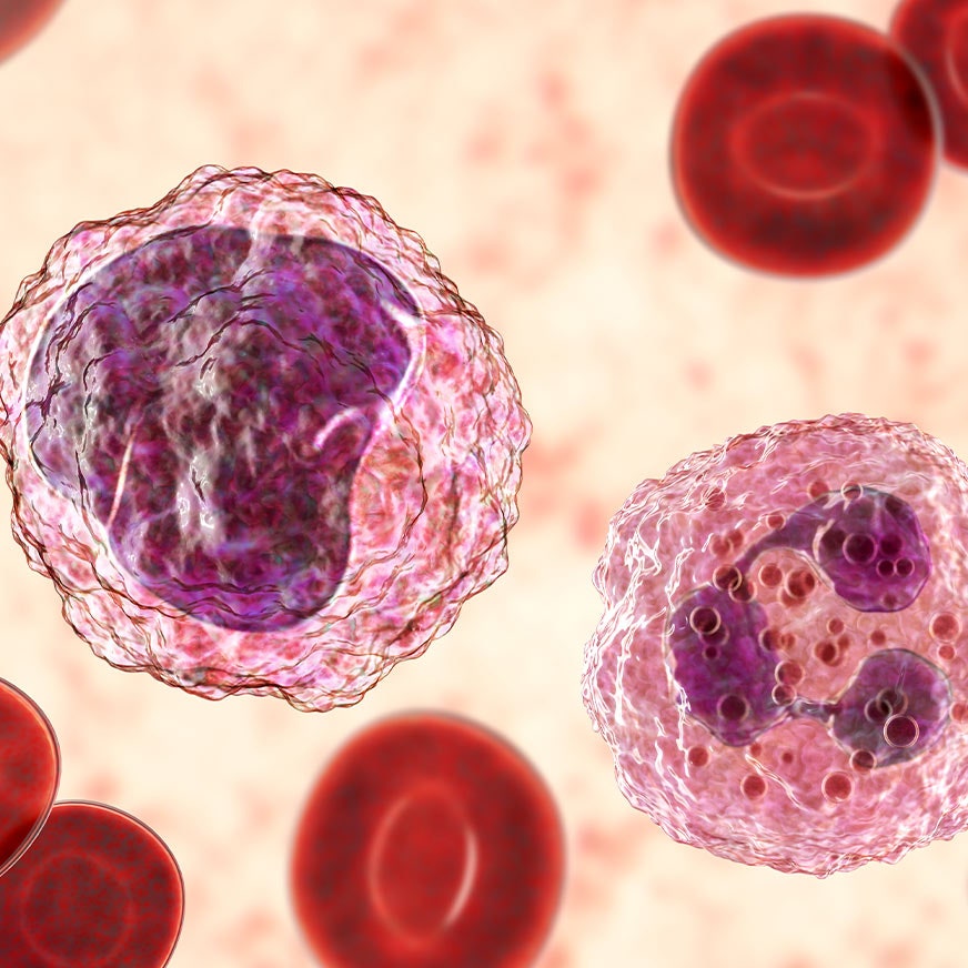 stem cell hero