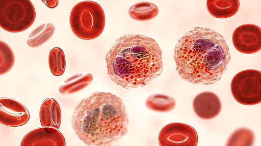 stem cell thumbnail