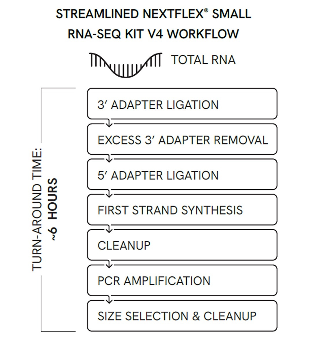 STREAMLINED NEXTFLEX® SMALL RNA-SEQ KIT V4 WORKFLOW