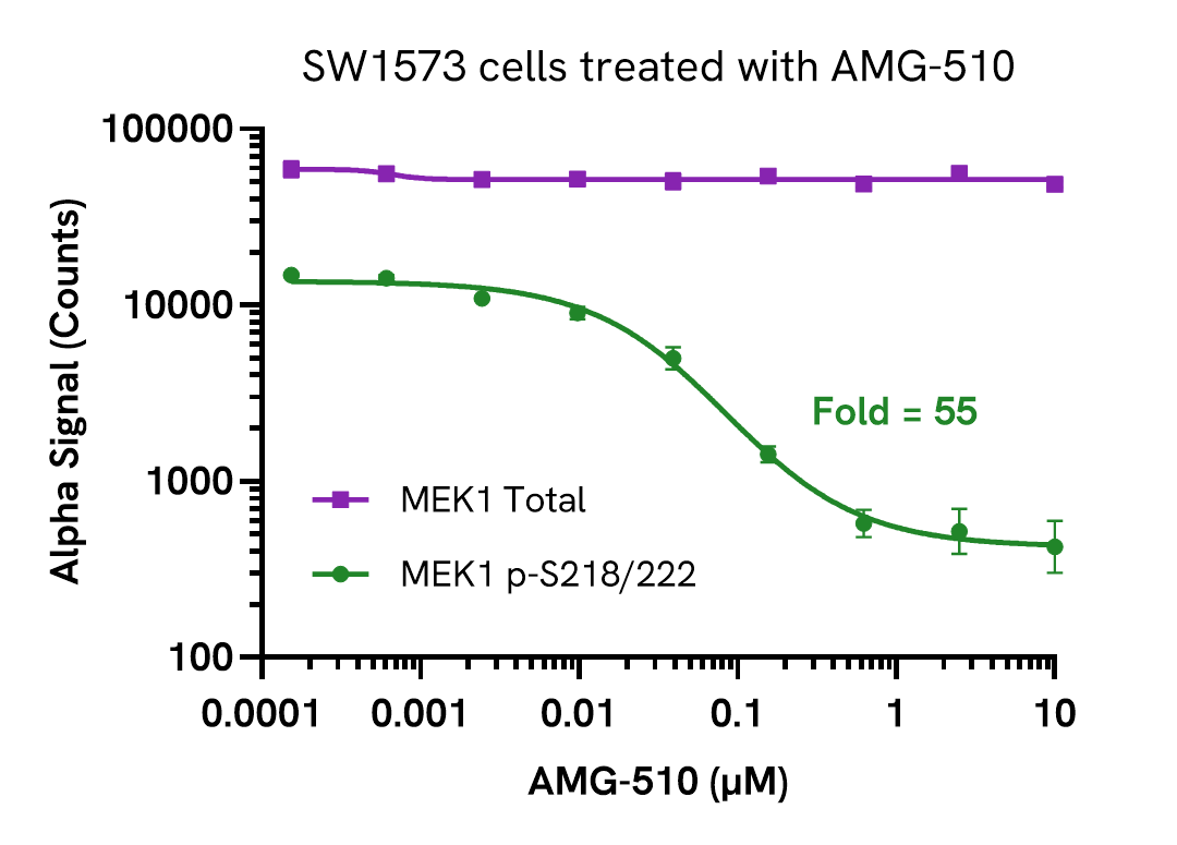 Validation of MEK1 Total in AMG-510 treated cells