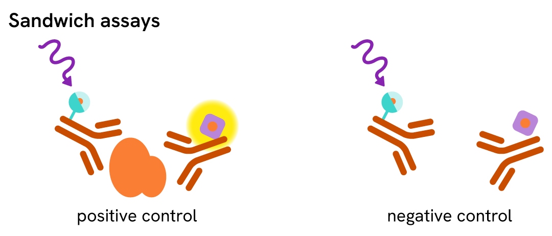 HTRF ASK signal treatment negative control sandwich binding 01