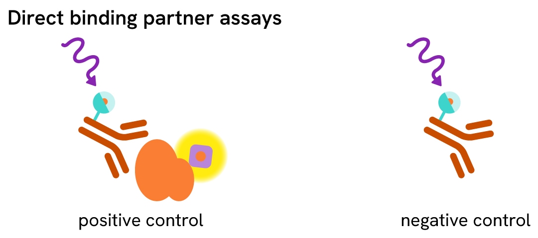 HTRF ASK signal treatment negative control sandwich binding 02