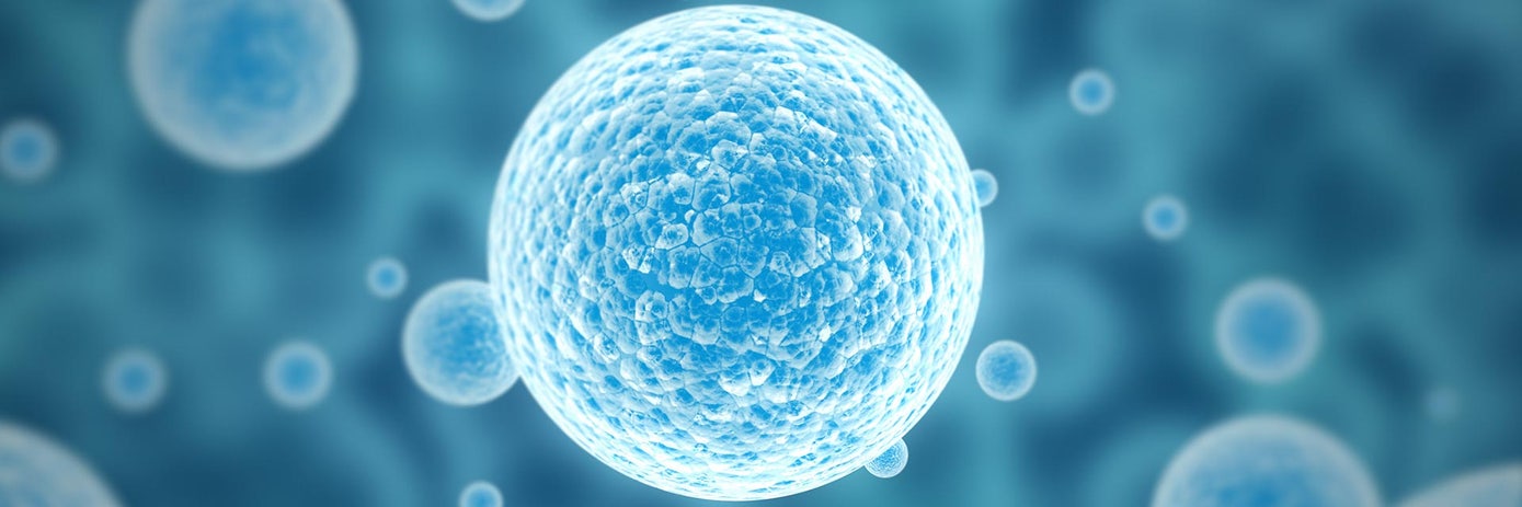 The cell count starts before the cell counter: Standardizing sample preparation with automated liquid handling.