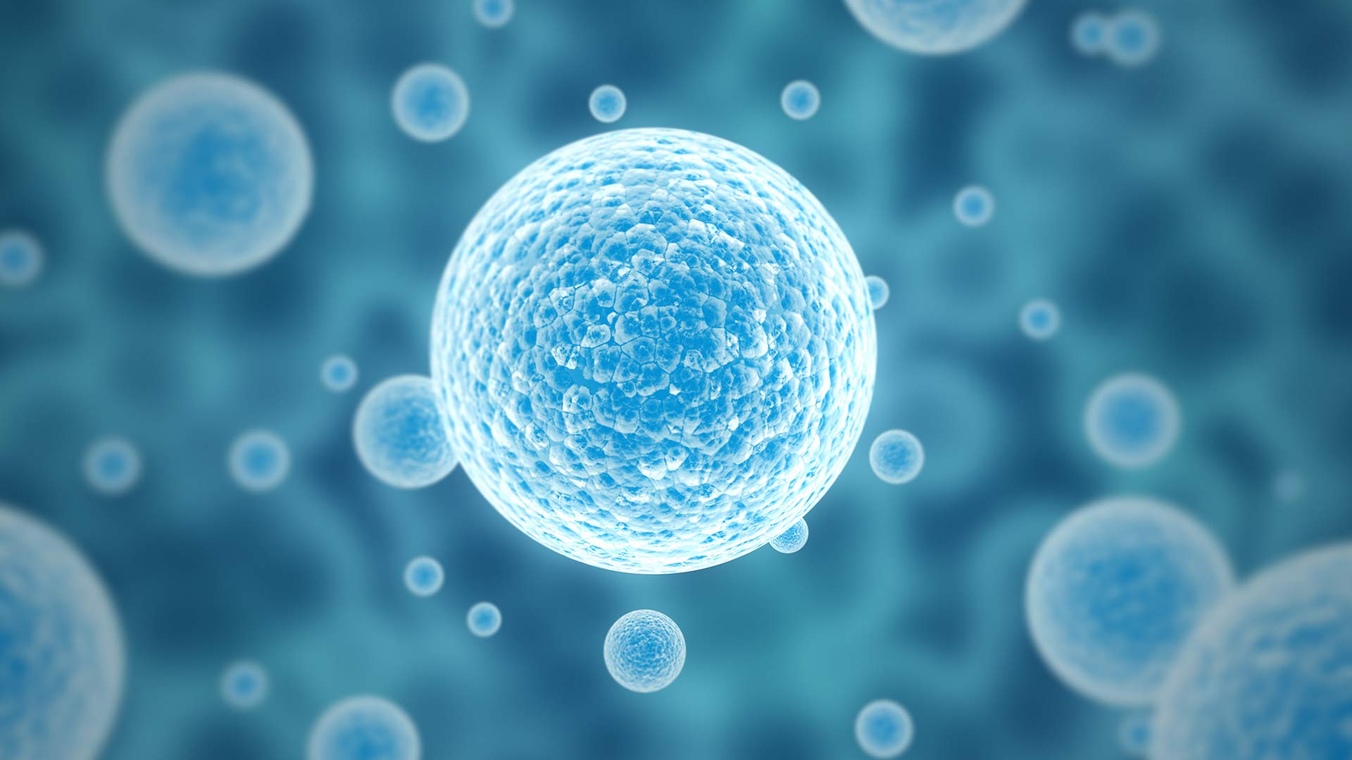 The cell count starts before the cell counter: Standardizing sample preparation with automated liquid handling.