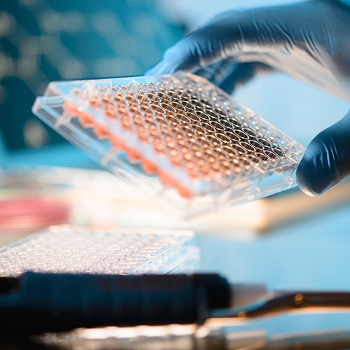 third assay full image