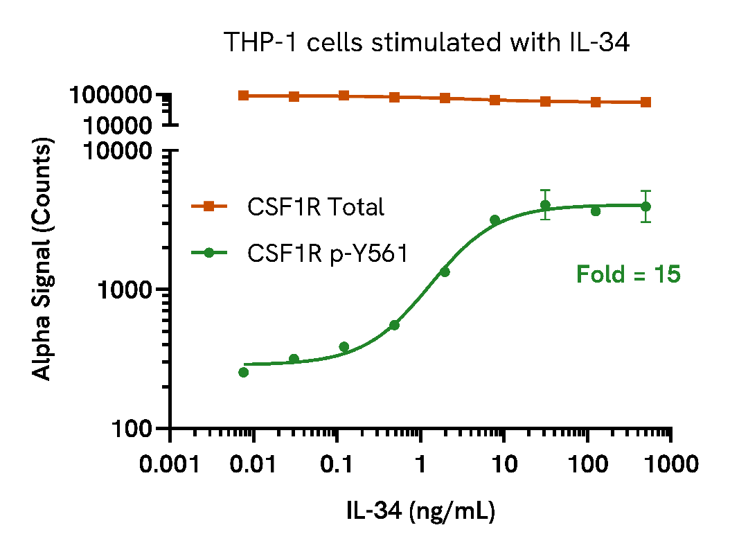 IL-34 induces CSF1R phosphorylation in a dose-dependent manner