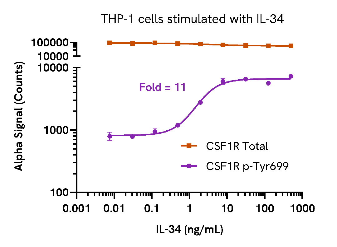 IL-34 induces CSF1R phosphorylation in a dose-dependent manner