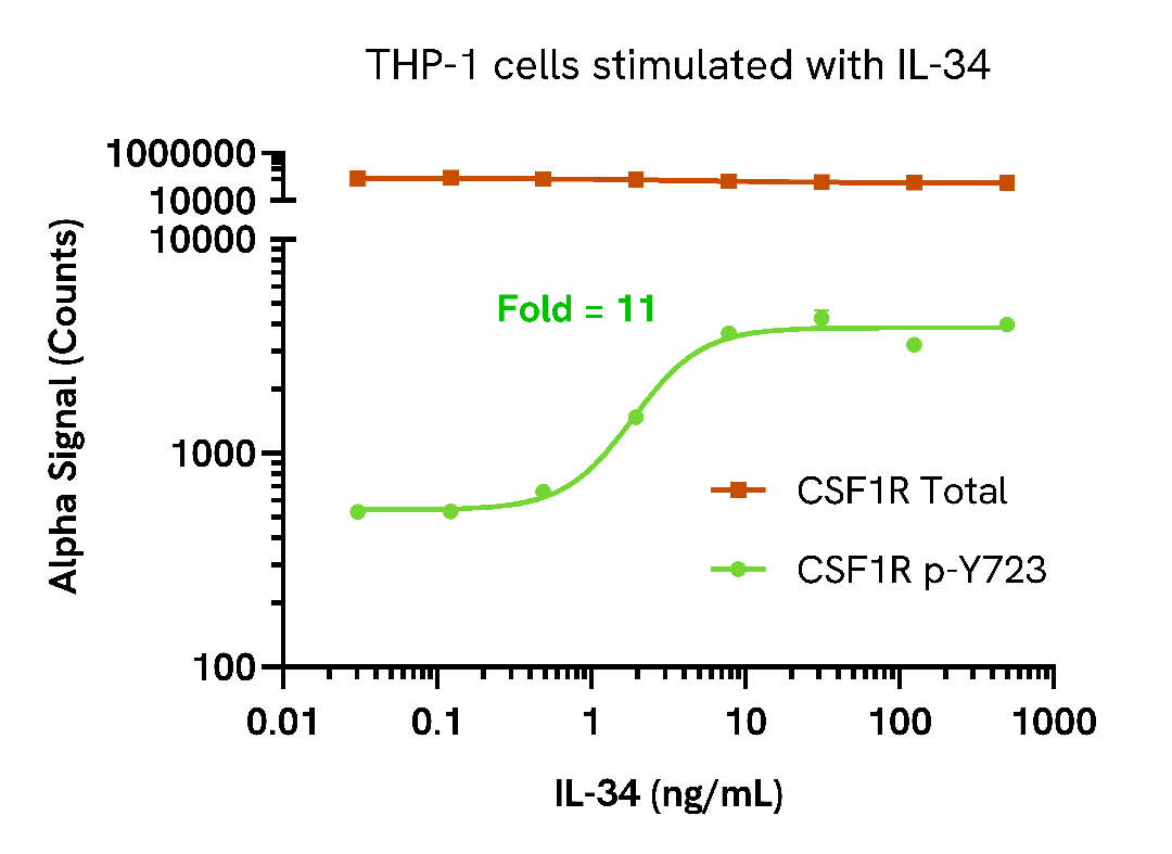 IL-34 induces CSF1R phosphorylation in a dose-dependent manner