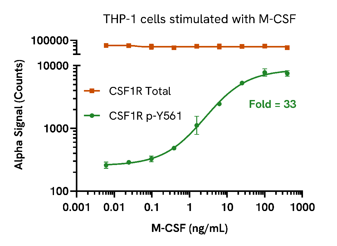 M-CSF induces CSF1R phosphorylation in a dose-dependent manner