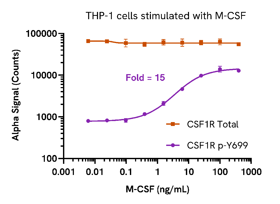 M-CSF induces CSF1R phosphorylation in a dose-dependent manner