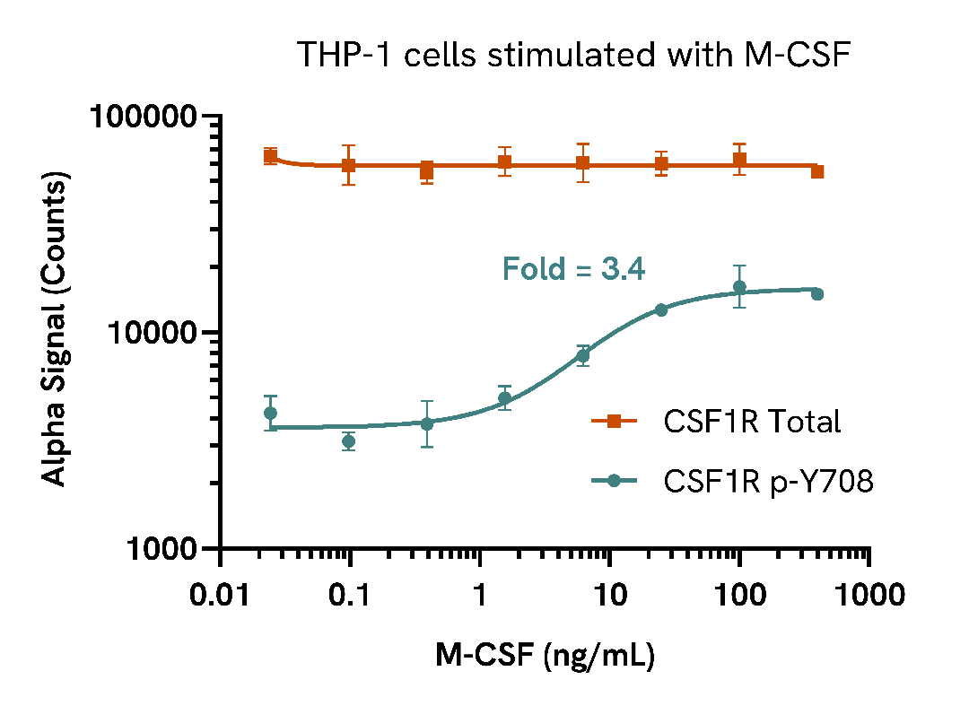 M-CSF induces CSF1R phosphorylation in a dose-dependent manner
