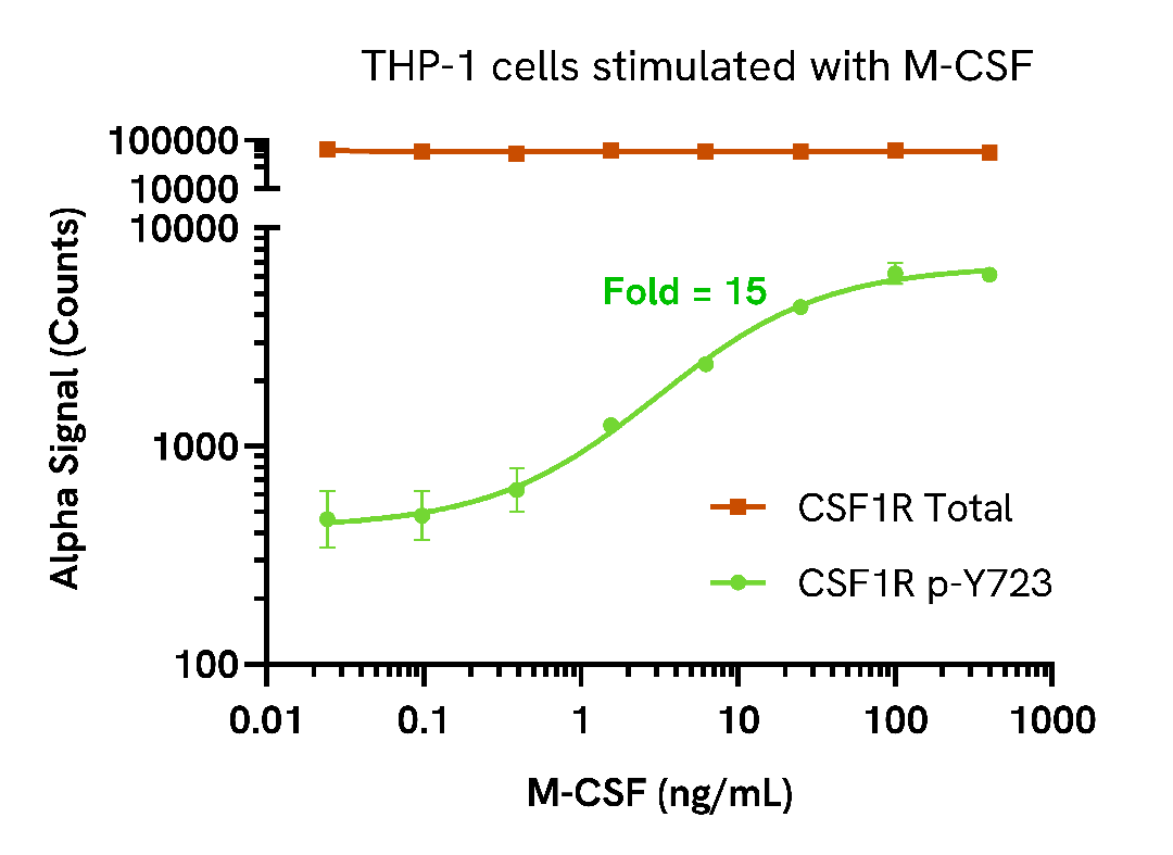 M-CSF induces CSF1R phosphorylation in a dose-dependent manner