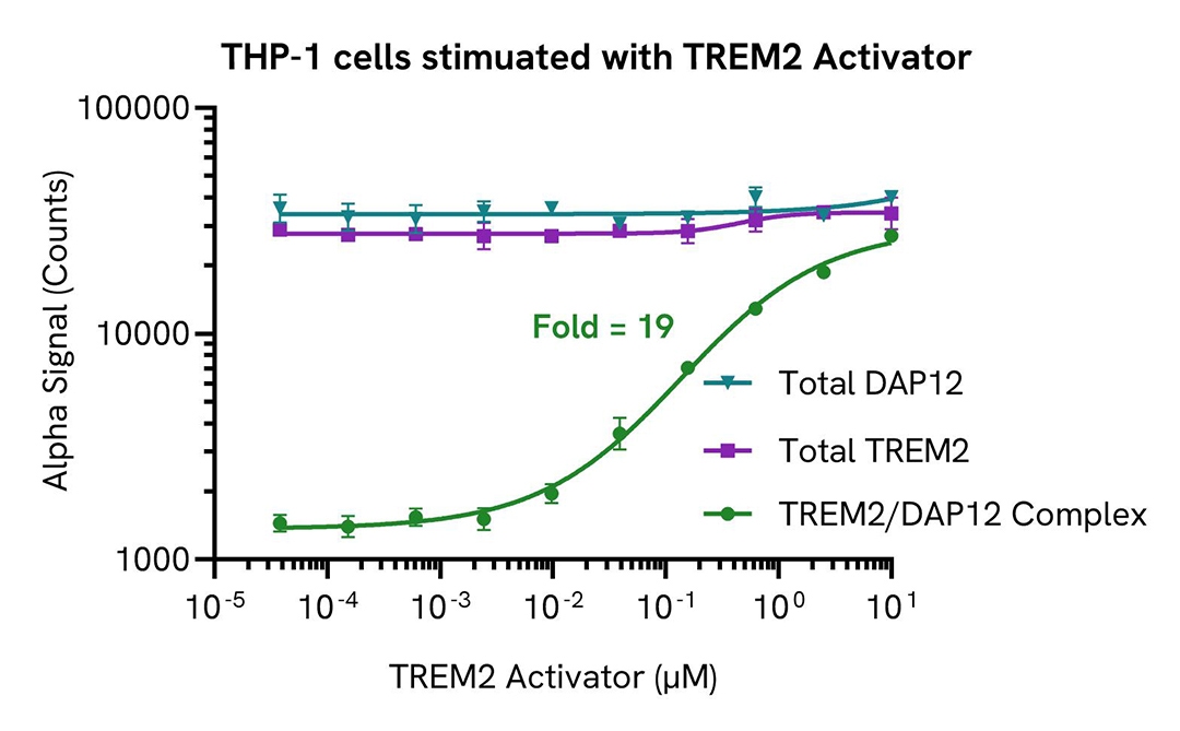 img-thp-1-cells-stimulated-with-trem2-activator-alsu-ttrmdp-a.jpg