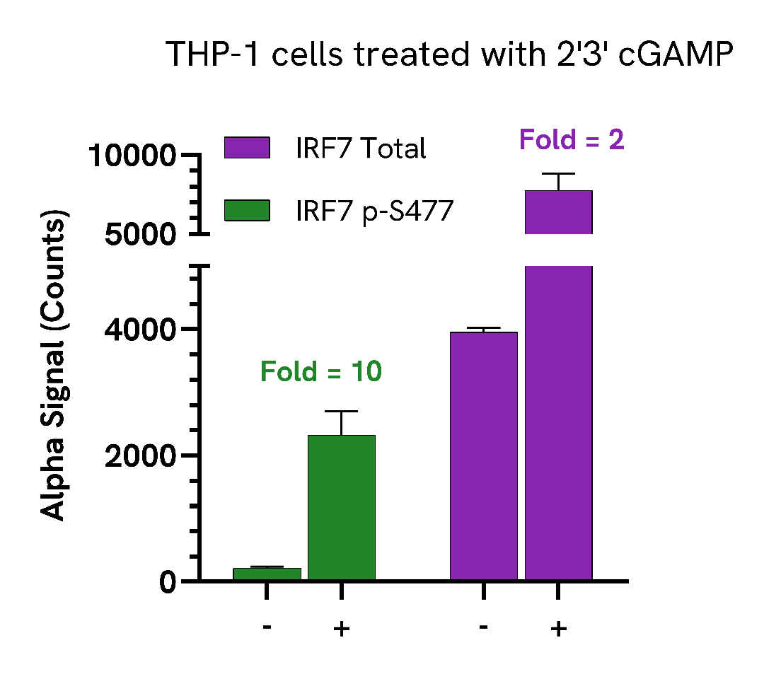 IRF7 activation mediated by STING agonists