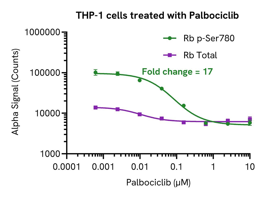 THP-1 cells treated with Palbociclib