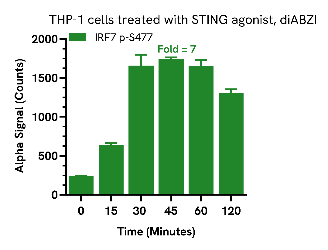 Activation of IRF7 by STING agonists