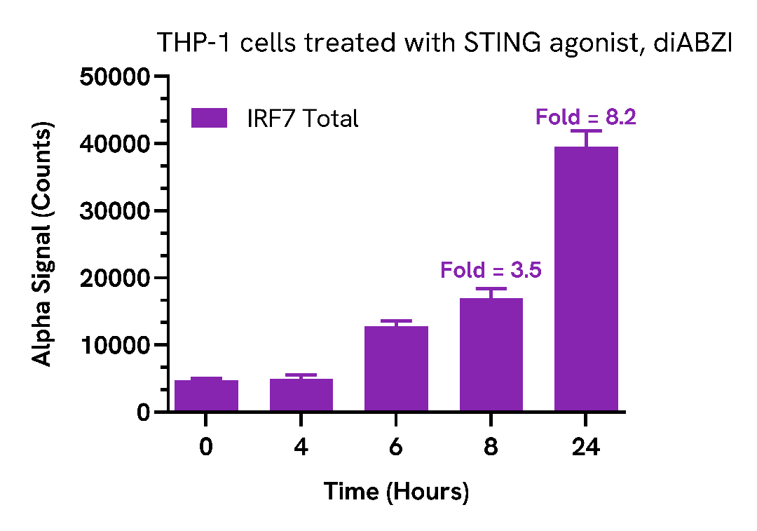 IRF7 activation mediated by STING agonists