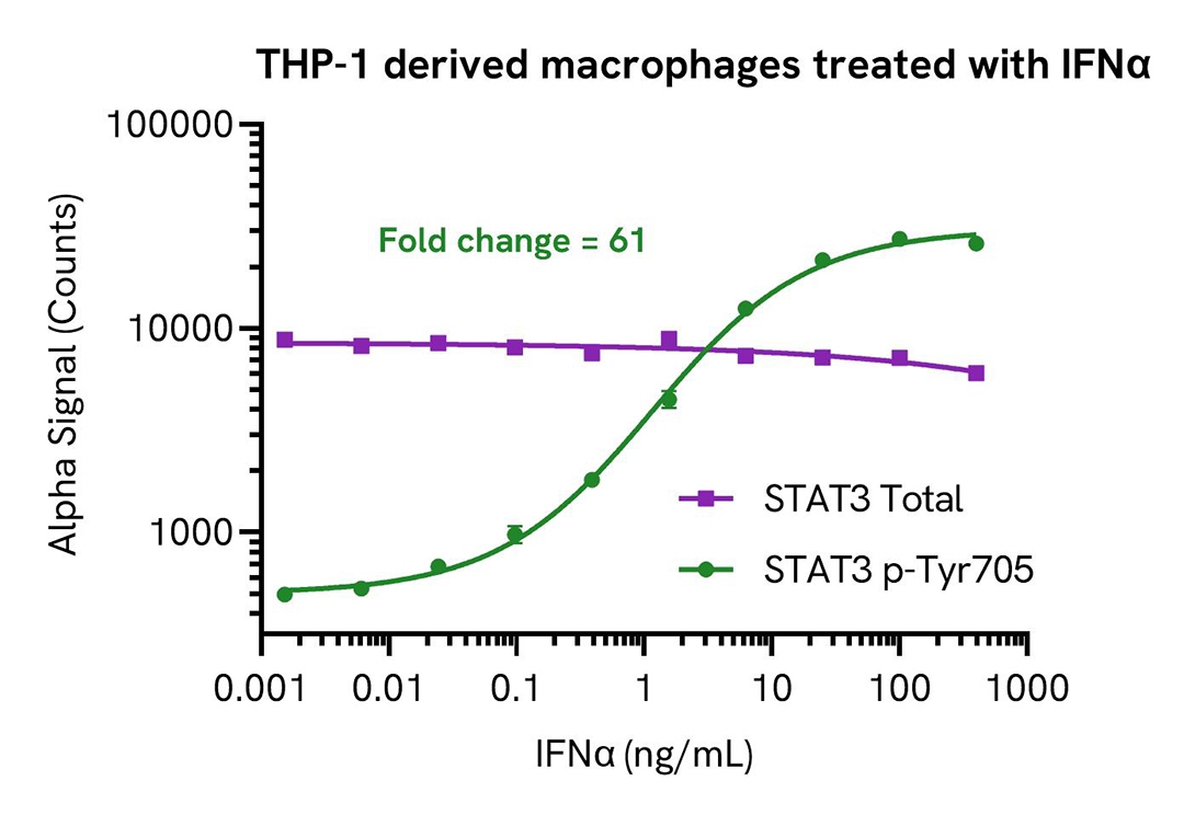 thp 1 derived macrophages treated with ifna alsu pst3 a