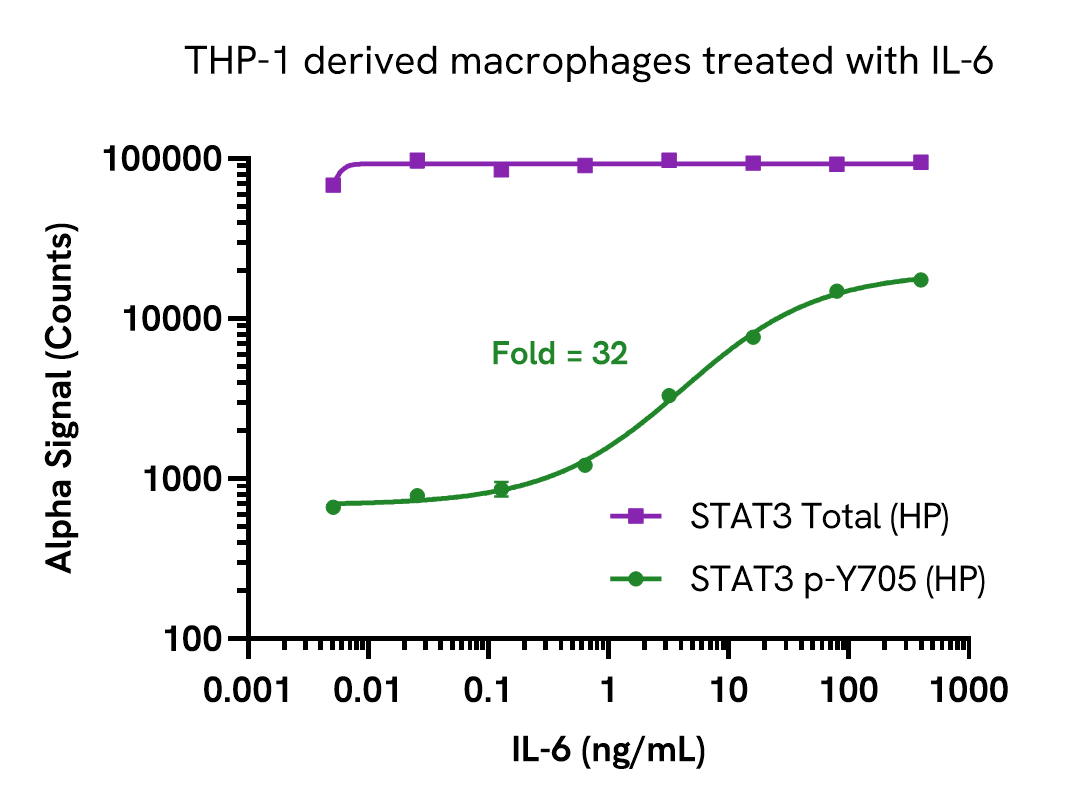 STAT3 Total (HP) assay validation - Activator