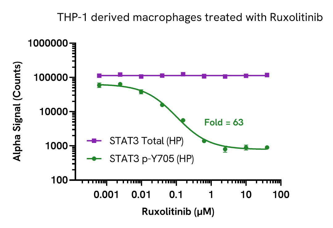 STAT3 Total (HP) assay validation - Inhibitor