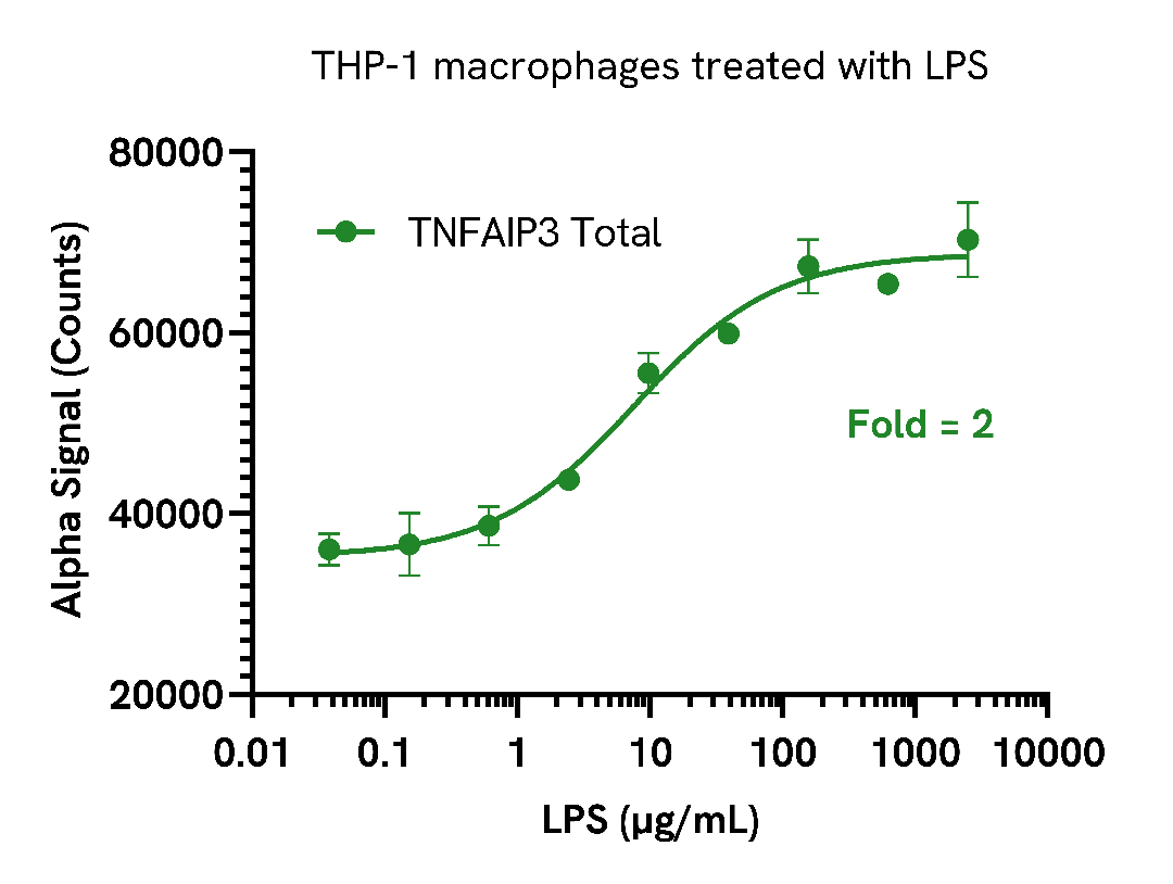 Induction of TNFAIP3 in LPS treated cells