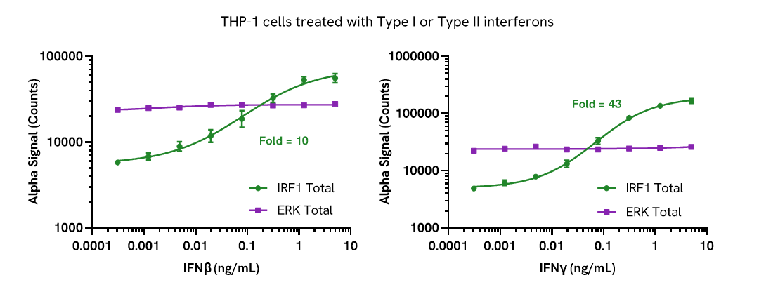 Pharmacological validation (activation) of Total IRF1