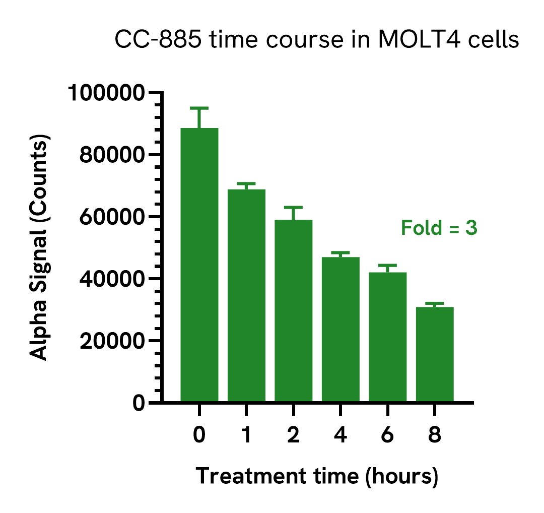 Time course of PELO degradation