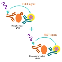 Total NPM1 Product image