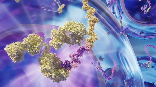 img-totalseq-reagents-512x288.jpg